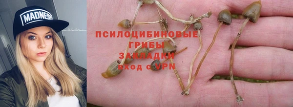 прущий лед Гусь-Хрустальный
