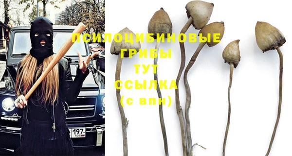 прущий лед Гусь-Хрустальный