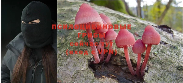 прущий лед Гусь-Хрустальный