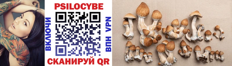 Купить где  Рыбинск  Псилоцибиновые грибы Psilocybine cubensis 